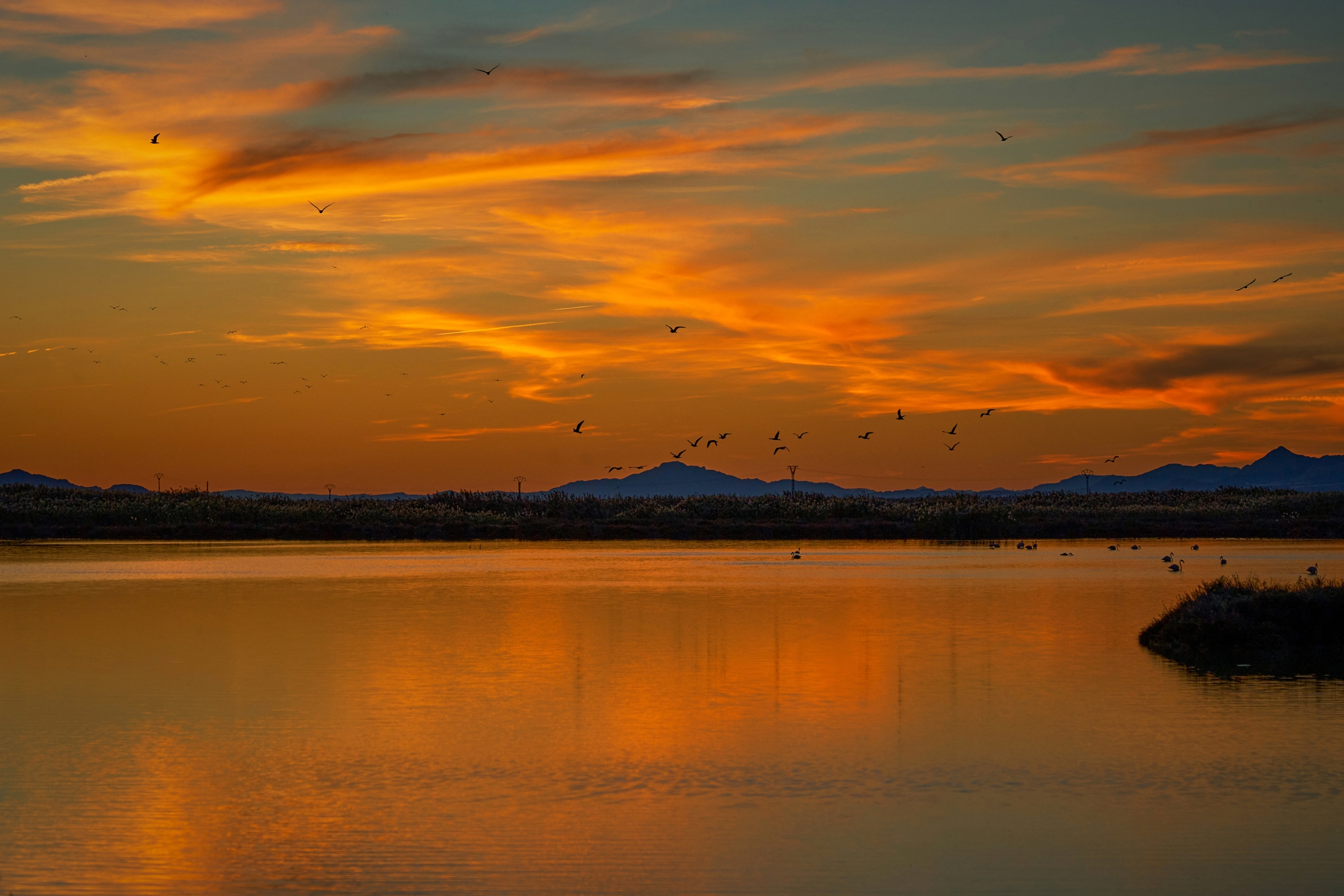 1719592850_Atardecer en las Salinas