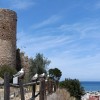 1719763686_GUARDIANAS DEL CASTILLO DE DÉNIA-ALIHM