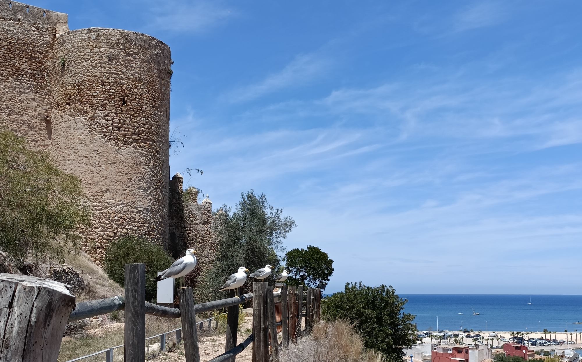 1719763686_GUARDIANAS DEL CASTILLO DE DÉNIA-ALIHM