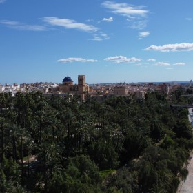 1738867168_ VINALOPÓ, PALMERAL Y CASTILLO DE ALTAMIRA. OCTUBRE38