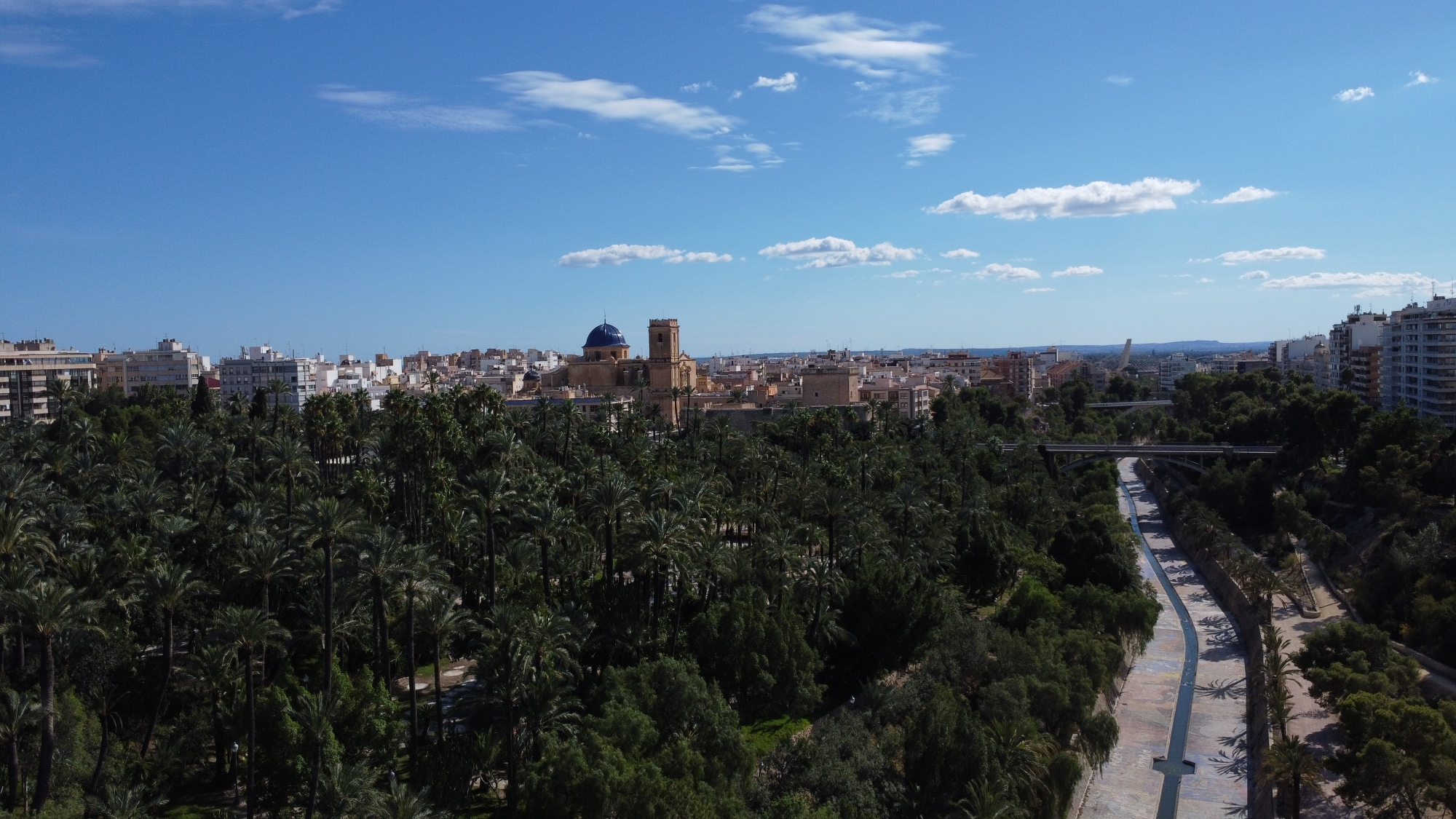 1738867168_ VINALOPÓ, PALMERAL Y CASTILLO DE ALTAMIRA. OCTUBRE38