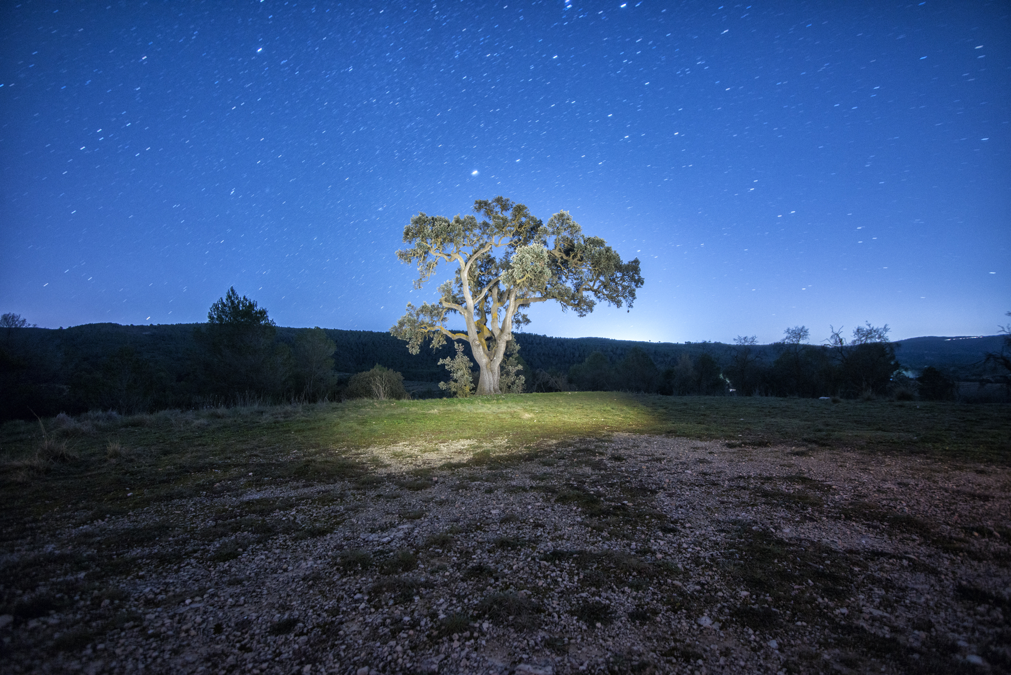 1741864900_lluvia-de-estrellas-