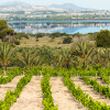 1745405648_2024-05-18-pn-la-mata-viña-agua-cemento
