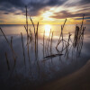 1745430339_LA PLAYA