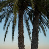 1745833342_DSC00418 (1)