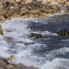 1746345387_IMG_9259a