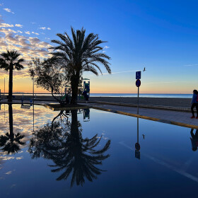 1746359823_Reflejos