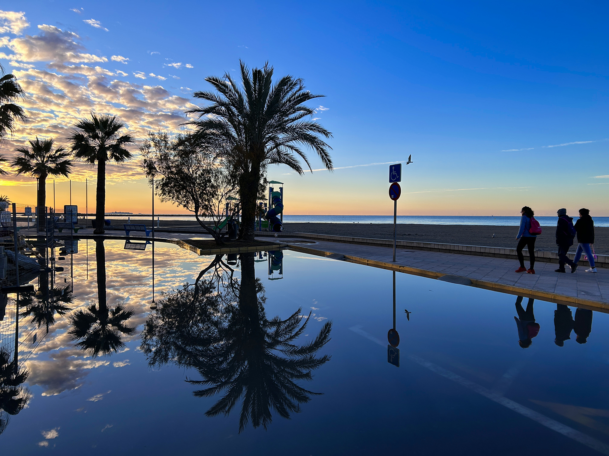 1746359823_Reflejos