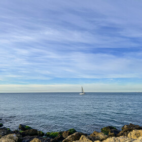 1746359965_Solitario