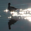 1746381279_DSCN8234