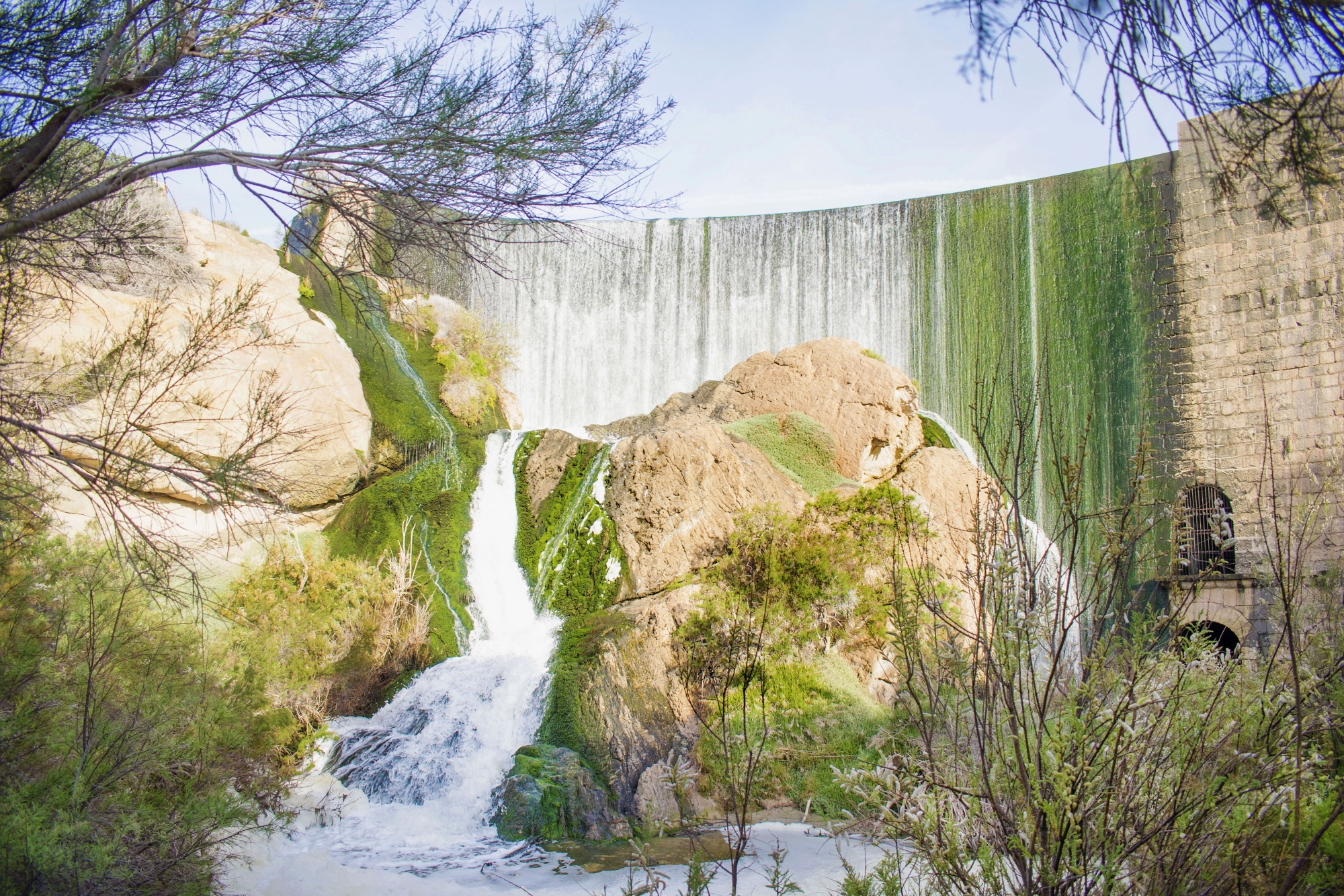 1746537823_20250401 Pantano de Elche (42)