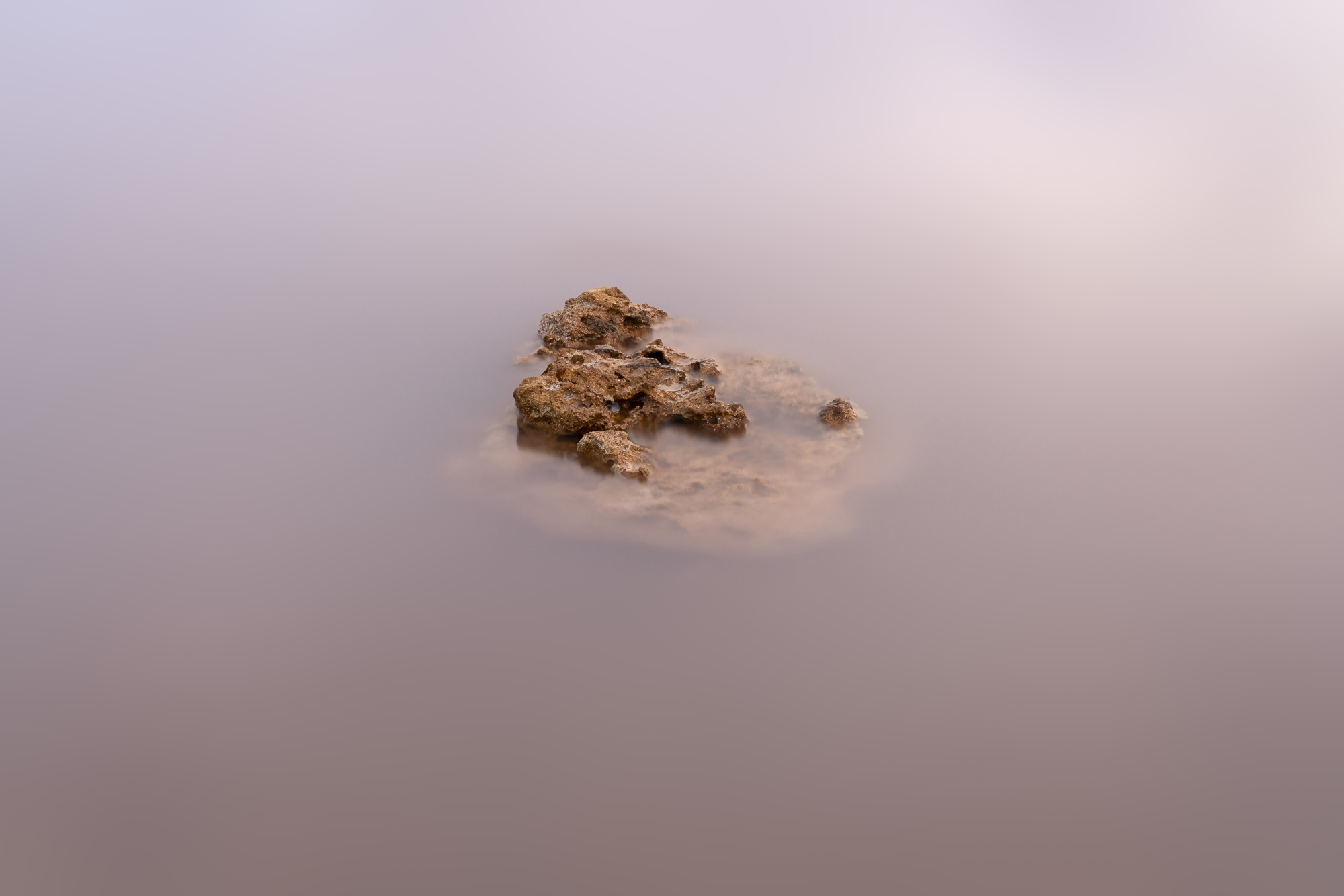 1747059358_25022022-_A7R0554