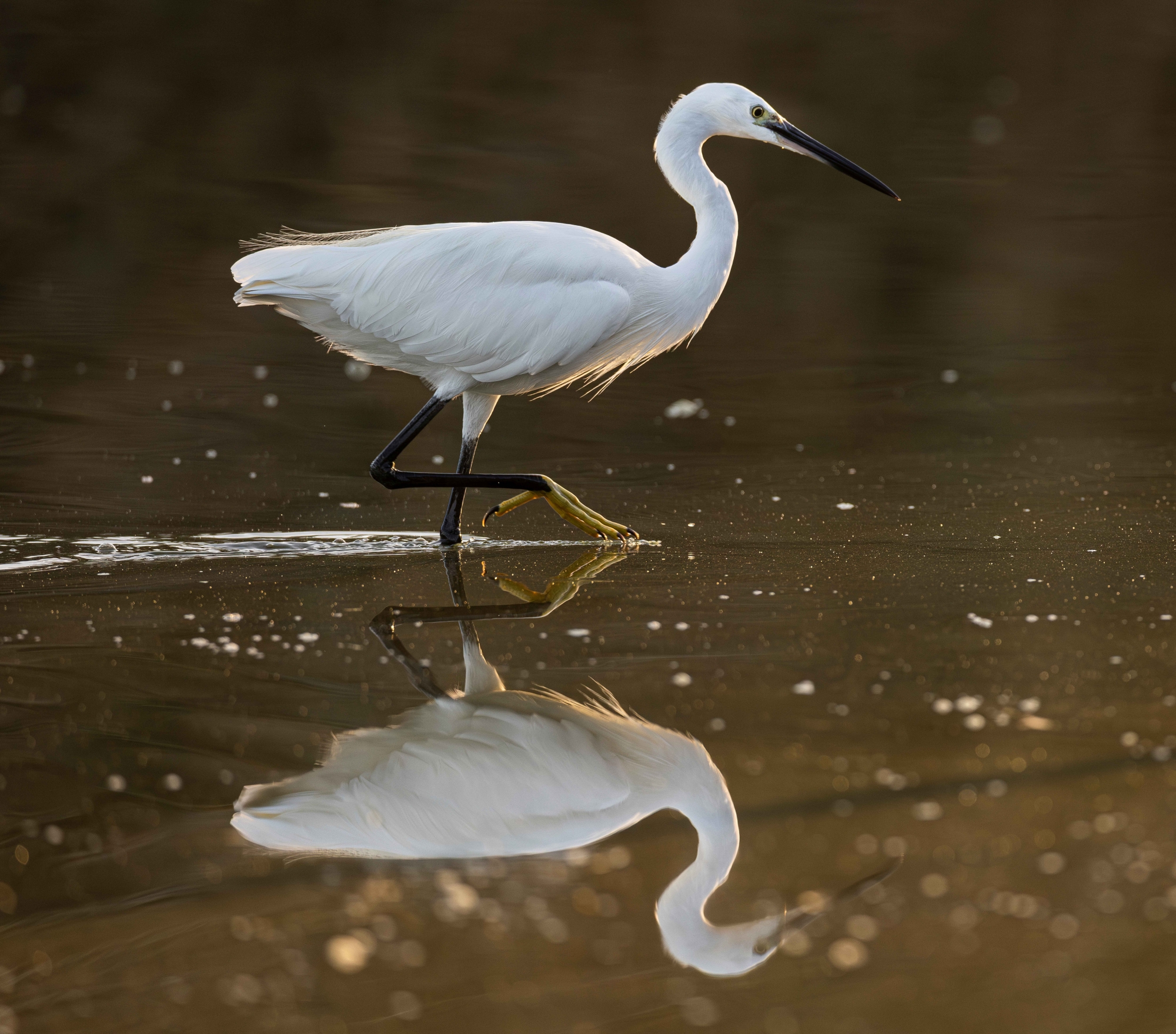 1747074249__MG_9864-Mejorado-NR