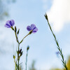 1747330204_delicadeza