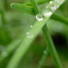 1747330986_Reflescante