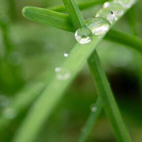 1747330986_Reflescante