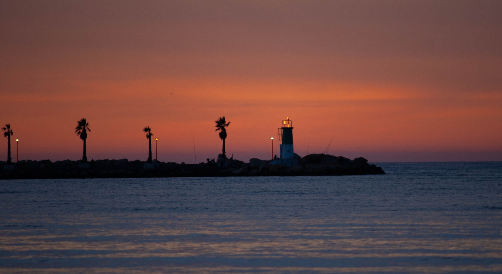 1747425758_Faro