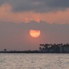 1747426649_sol