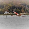 1747426871_en vuelo