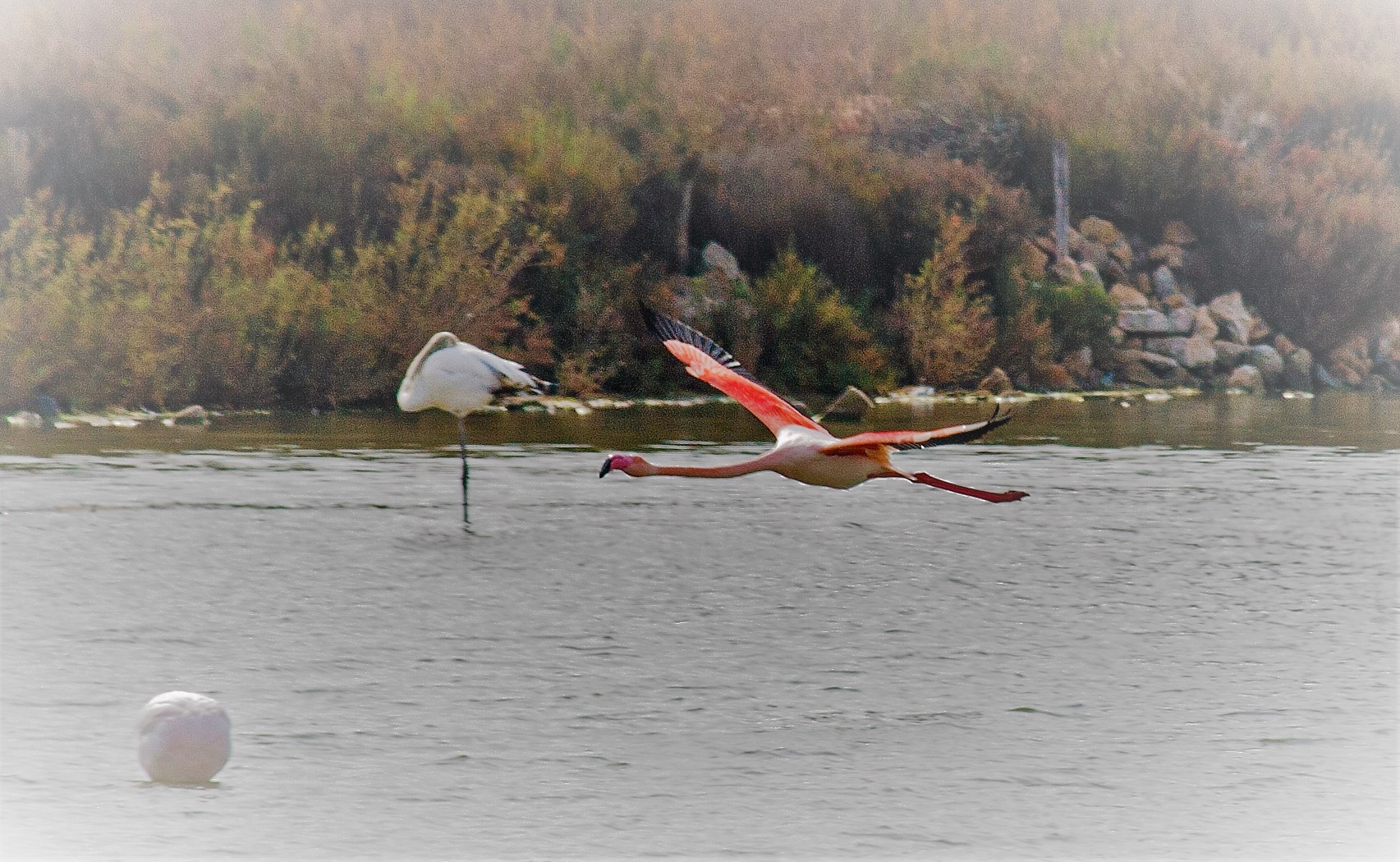 1747426871_en vuelo