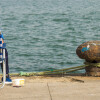 1747506289__DSC2459-55551