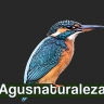 Avatar de Agusnaturaleza